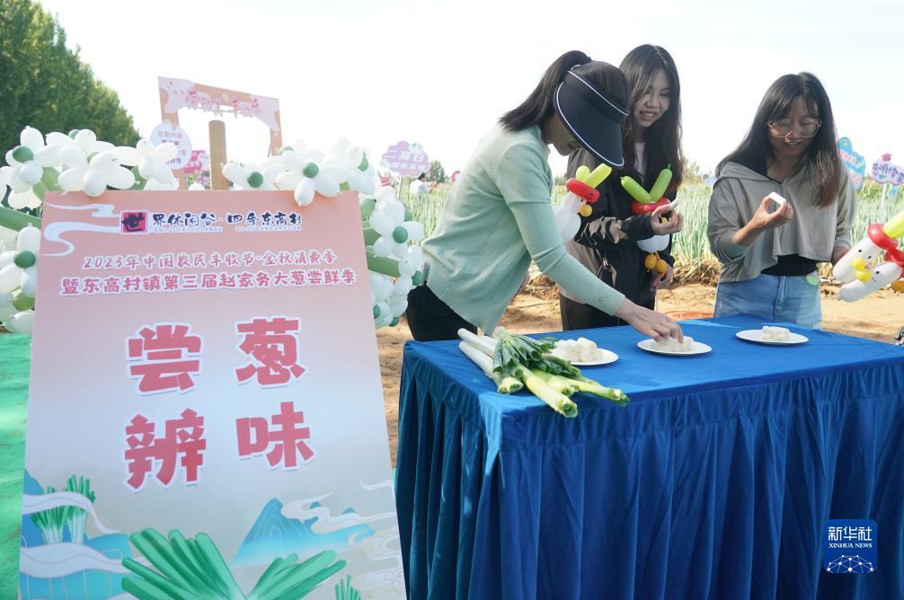 菠菜导航网免费推荐